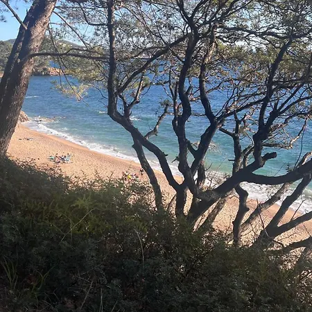 Lägenhet T2 4 Couchages *